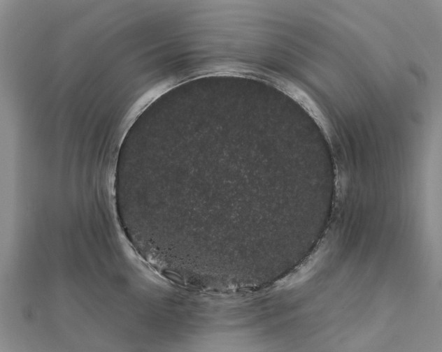 X0000113010954200909031311