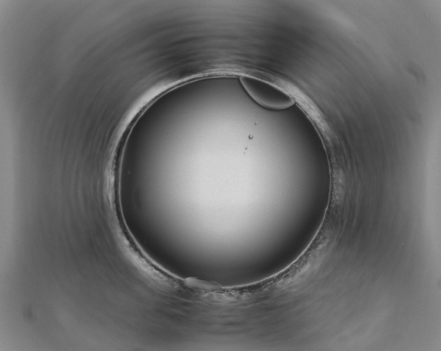 X0000113010955200909031311