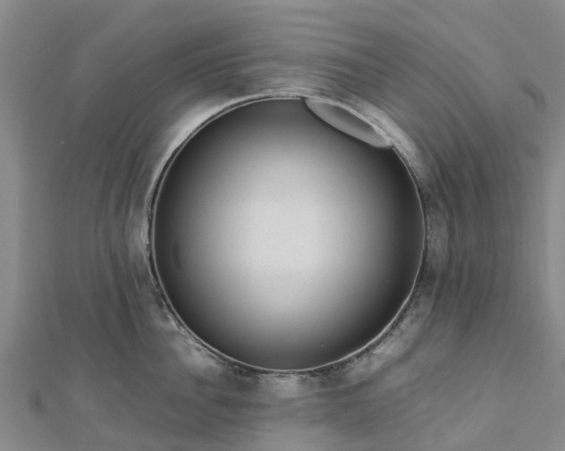 X0000113010956200909031311