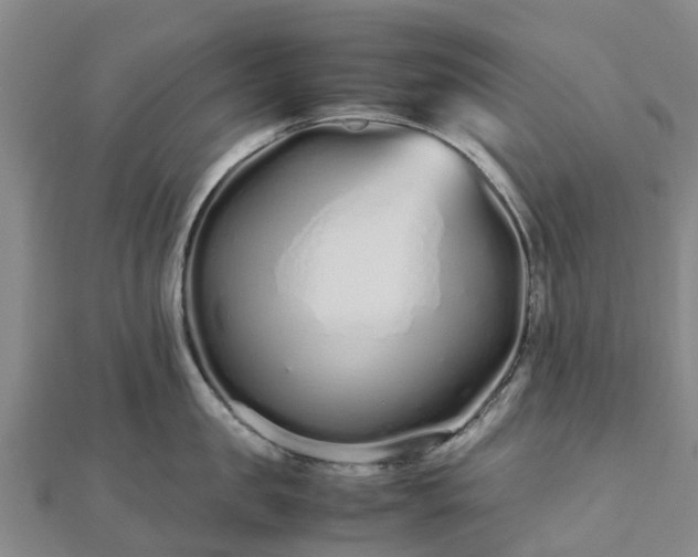 X0000113010957200909031311