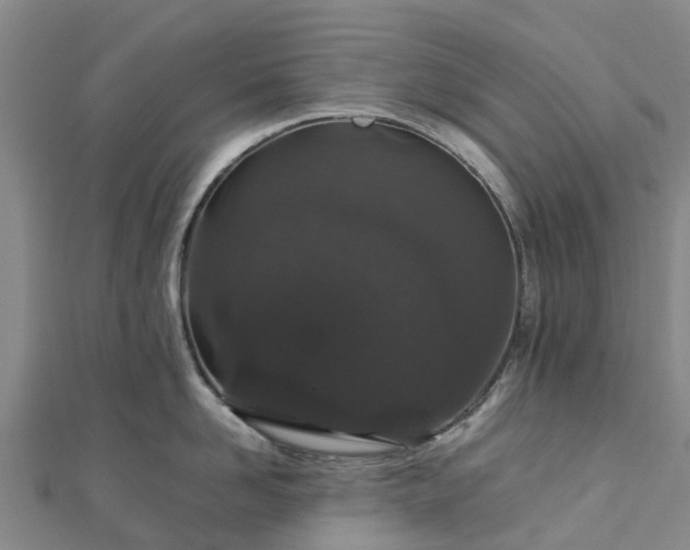 X0000113010958200909031311