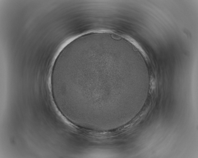 X0000113010959200909031311