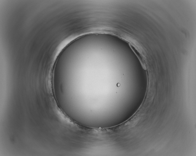 X0000113010960200909031311