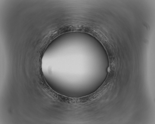 X0000113010961200909031311