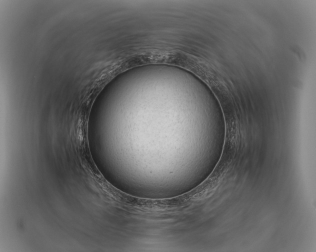 X0000113010962200909031311