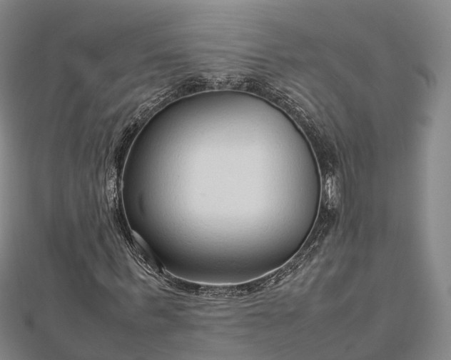 X0000113010963200909031311