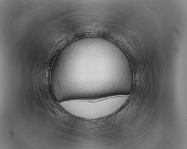 X0000113010964200909031311