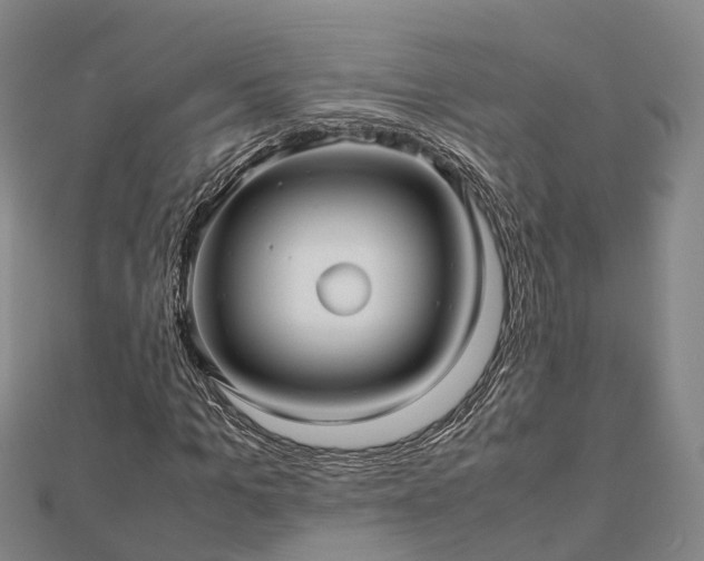 X0000113010965200909031311