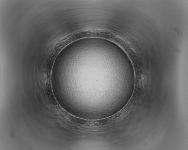 X0000113010966200909031310