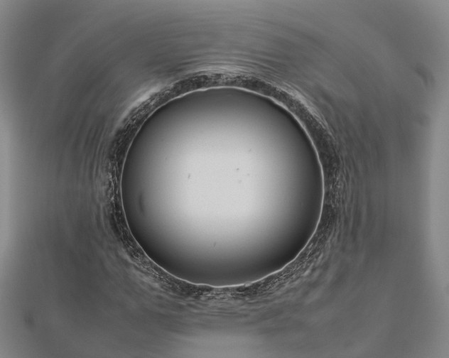 X0000113010967200909031310