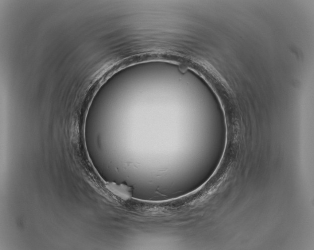 X0000113010969200909031310