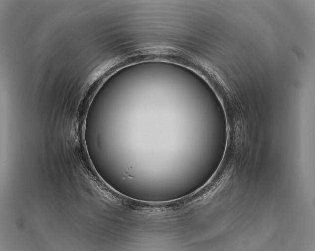 X0000113010970200909031310