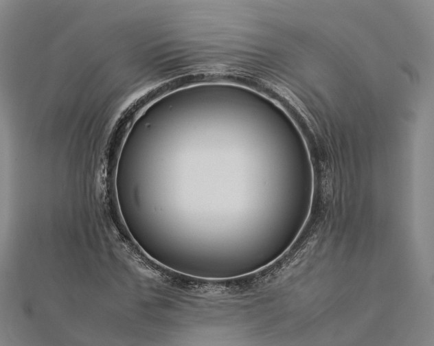 X0000113010971200909031310