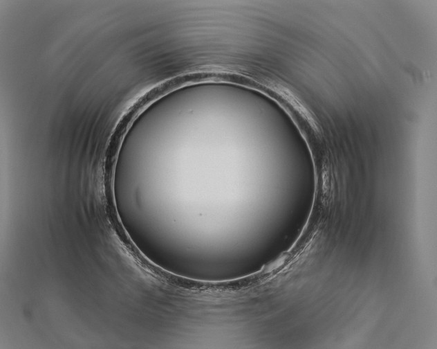 X0000113010972200909031310