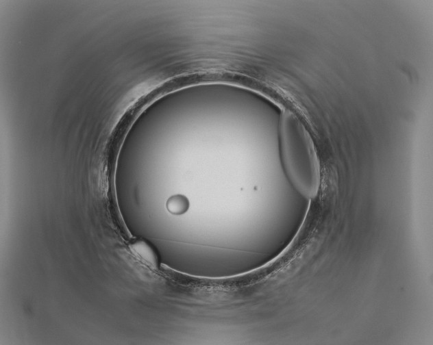 X0000113010973200909031310