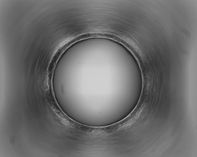 X0000113010974200909031310