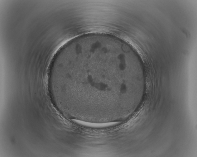 X0000113010975200909031310