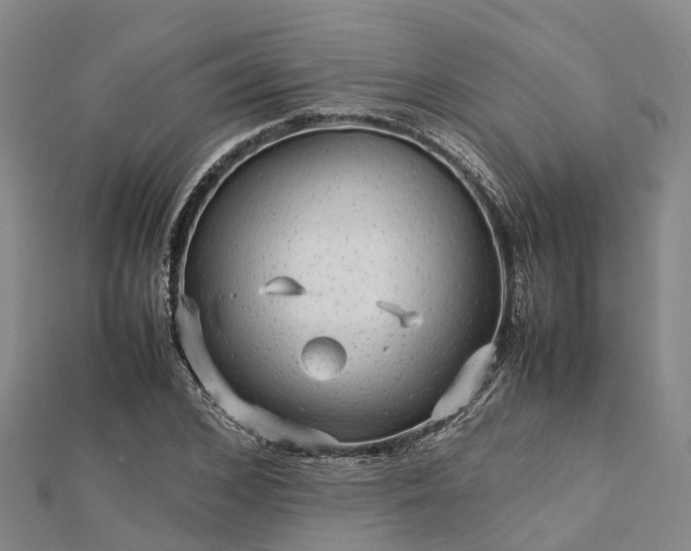 X0000113010976200909031310