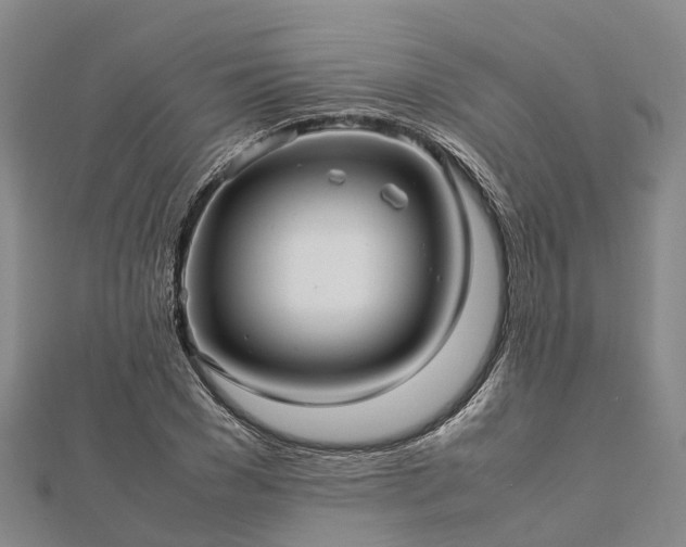 X0000113010977200909031310