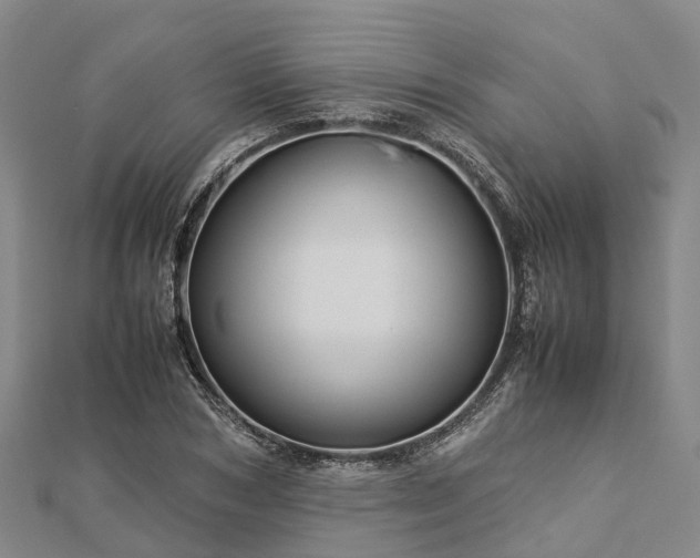 X0000113010978200909031310