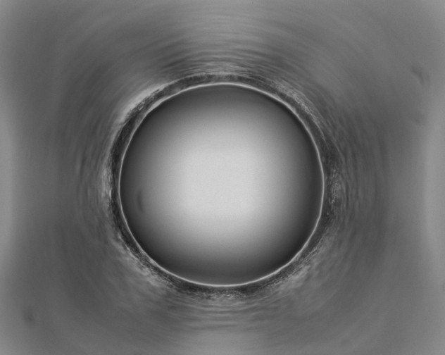 X0000113010979200909031310