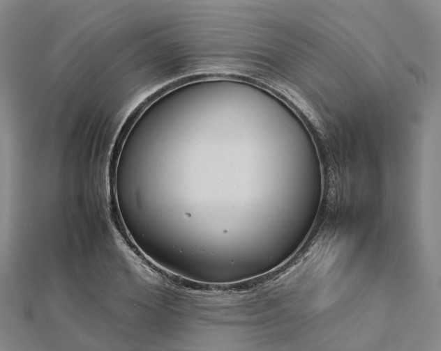 X0000113010980200909031310