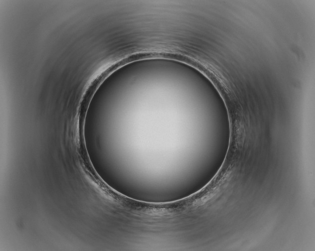 X0000113010982200909031310