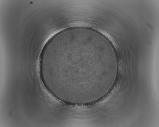 X0000113010983200909031310