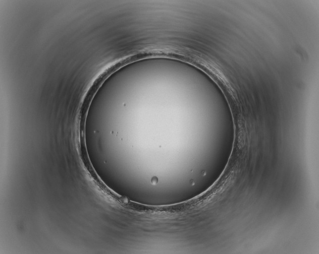 X0000113010984200909031310