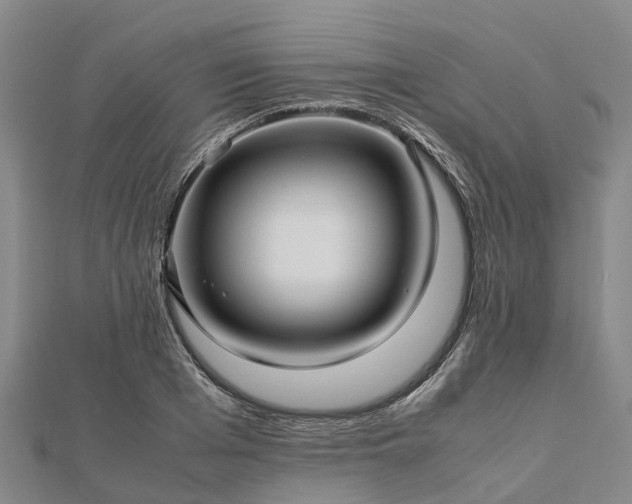 X0000113010985200909031310