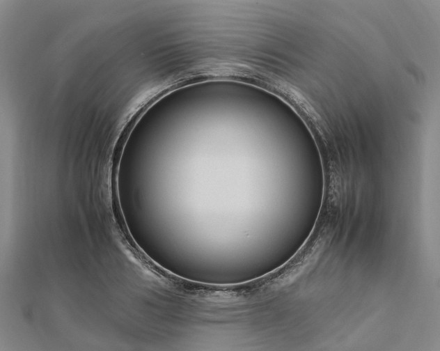 X0000113010986200909031310