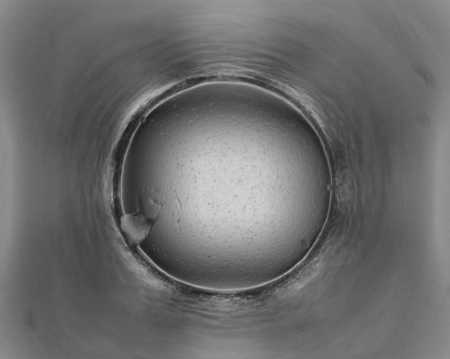 X0000113010987200909031310