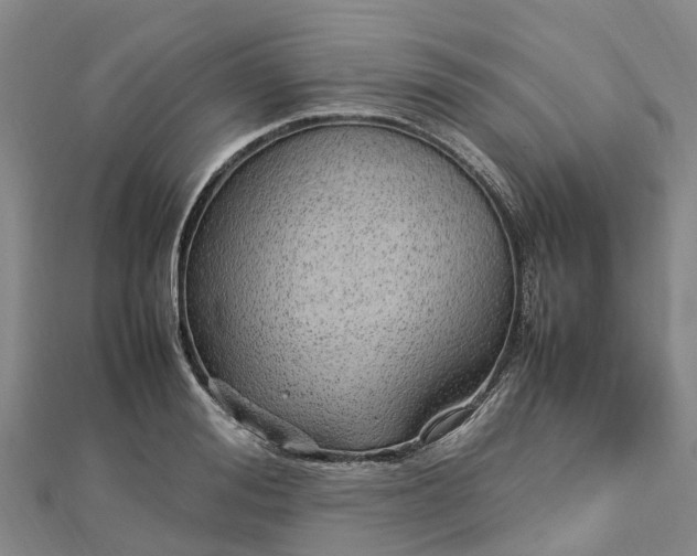 X0000113010988200909031310