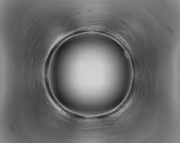 X0000113010989200909031310