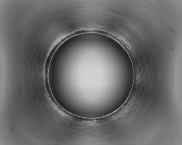 X0000113010990200909031310