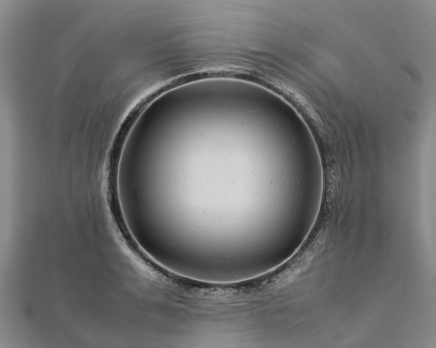 X0000113010991200909031310