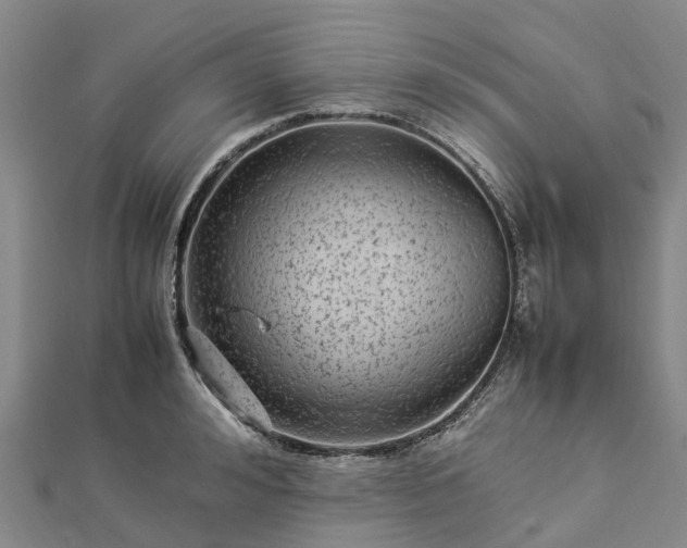 X0000113010992200909031310