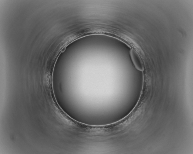 X0000113010993200909031310