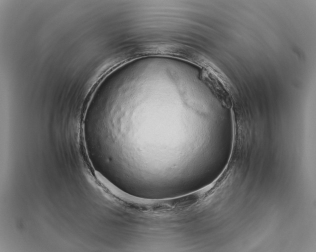 X0000113010994200909031310