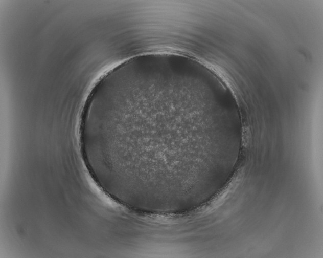 X0000113010995200909031310