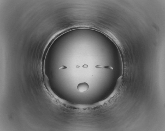 X0000113010996200909031310