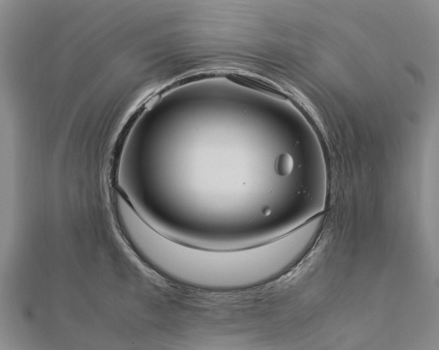 X0000113010997200909031310