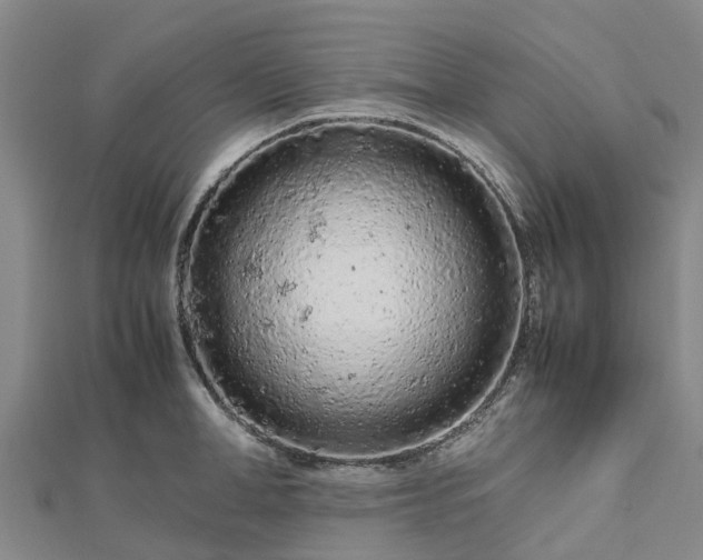 X0000113010998200909031310