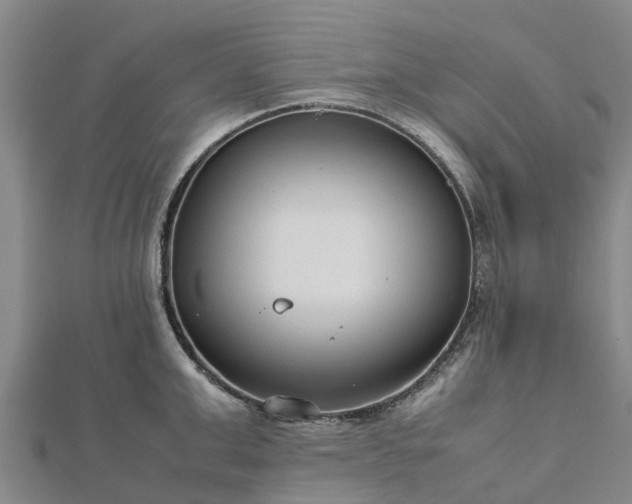 X0000113010999200909031310