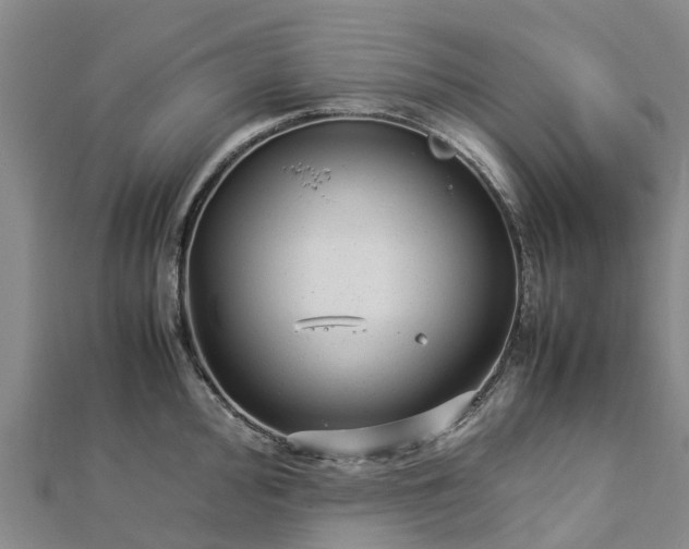 X0000113011000200909031310