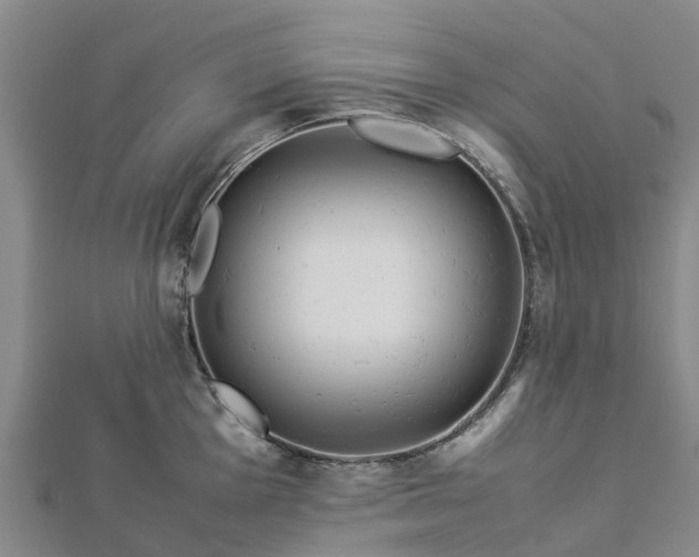 X0000113011001200909031310