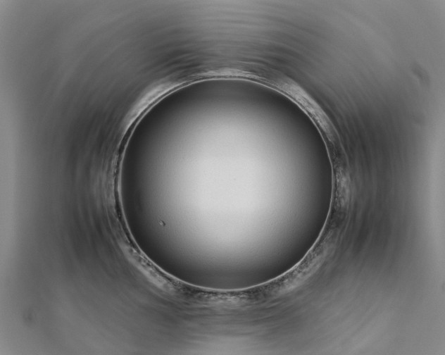 X0000113011002200909031310