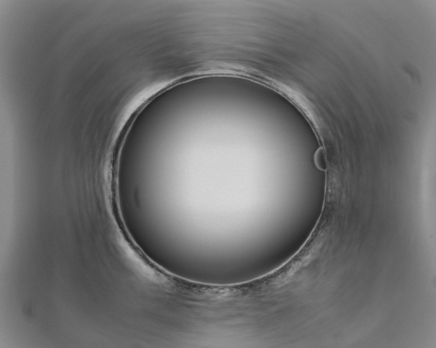 X0000113011003200909031310