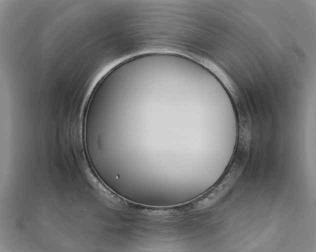 X0000113011004200909031310