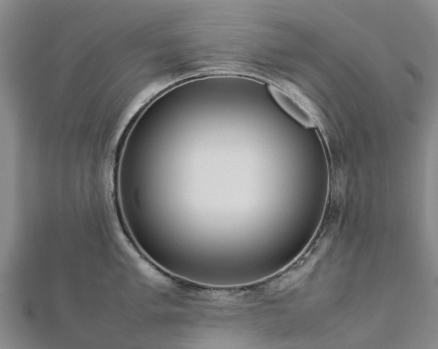 X0000113011005200909031310